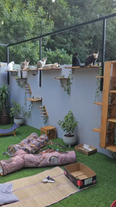 Cat Climbing Shelf Wall Mounted Solid Wood Multi-Layer Wall Mounted Cat Air Porch No Space Required