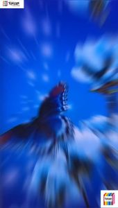 STIKER Kulkas/Stiker Kompor/Stiker magicom motif Kupu Bintang Biru