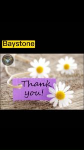 SG Seller Sanitizer Spray Disinfection Machine Blue Ray Disinfectant Spray Gun Nano Steam Atomizer Fogger Rechargeable Fogger Machine UV Nano Atomizer K5