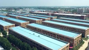 BUBBLE KIDS New Autumn and Winter Childrens Bottoming Shirt Boys and Girls Long Sleeve T-shirt Korean Cute Cartoon Loose Girls Pullover