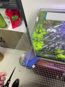 Lưới Chống Nhảy Cho Bể Cá DIY Trong Suốt Khung Hợp Kim Nhôm Chống Gỉ Lưới Bảo Vệ Cá An Toàn Cho Thú Cưng Và Ngăn Cá Thoát 50cm