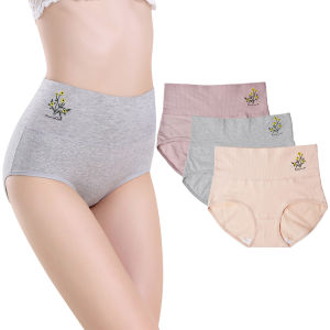 Sentexin 3/5Pcs High waisted Womens Cotton Panties Girls Briefs Ladies Knickers Breathable Female Underwear M-XXL