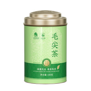 SHIFENG | New Fresh Spring Extra Fine Green Tea 100g