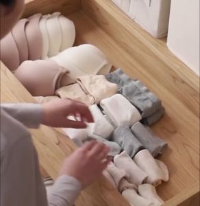 คุณสมบัติของกล่องเก็บชุดชั้นใน/ชุดชั้นใน/ถุงเท้า และกล่องเก็บอุปกรณ์เสริม กล่องเก็บของในตู้เสื้อผ้า