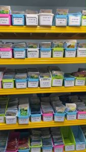 หอมแบ่ง CT/OP-167 ผักซอง เจียไต๋ เมล็ดพันธุ์ผัก เมล็ดผัก เมล็ดพืช ผักสวนครัว ซองประมาณ 185 เมล็ด