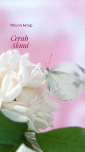 2 Pcs YBAY Daily Brightening Cream Pencerah Kulit Wajah Memudarkan Bintik Hitam Pemudar Flek 20ml Moisturizer Cream