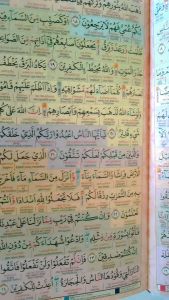 Al-Quran Muslimah Hafazan Ukuran A5/ Alquran Trasliterasi Latin Dengan Tajwid Warna - Alqosbah Merek Pustaka Elba Pengiriman Ekonomi - Lazada