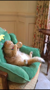 MONKEY KING Sports Kids Terno For tshirt+pants Girls Set Babae Cartoon Clothing Child Tops UGA035