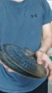 Chập cheng đồng nạo bạt bằng đồng âm thanh đạt chuẩn kích thước 20cm 25cm 30cm 40cm