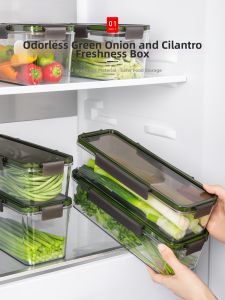ZHIFAN | Japanese Herb and Vegetable Freshness Preservation Storage Box