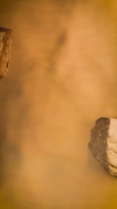 FITLIFE Beazt Whey Protein Concentrate 2 lbs - Suplemen Fitness Tinggi Protein