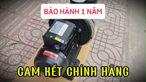 Máy Bơm Nước Hồ Bơi EWALA 2HP 1500W 220V - STP200 - Lưu Lượng Cao Cột Áp Cao Bảo Hành 12 Tháng
