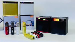 Power Playhub YS-223: A Portable Bluetooth Speaker with Mini Wireless Microphones