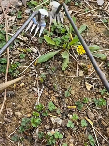 MKR Weeding Uprooting Tool Weed Puller 4 Teeth Grass Remover Weeder Merumput Cangkul Cabut