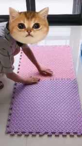 แผ่นโฟมปูพื้น 60×60cm EVA ชุดสองสี 16 แผ่น หนา 1.2cm กันกระแทก ไม่ลื่น