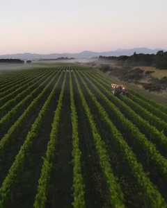 Wither Hills Marlborough Sauvignon Blanc White Wine 750ml
