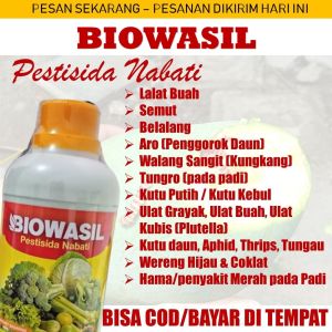 Pestisida BIOWASIL - Obat Hama Wereng Padi Penyakit Merah Padi Walang Sangit Padi/Sawah Ulat Grayak Padi Tungro Padi dan Semua Hama Padi - Pupuk Organik Cair Insektisida Hama Padi Wereng Merah Padi Walang Sangit Belalang Kutu Putih/Kupu-Kupu Padi