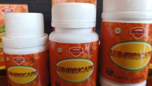 Kapsul Lumbricaps Kapsul Ekstrak Cacing 12  kapsul dari Ath Thoifah