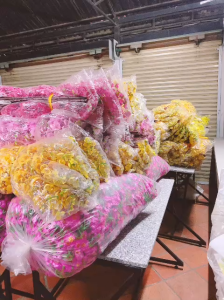 BÔNG MAI VÀNG/BÔNG ĐÀO HỒNG giả Vải và Nhựa 10 Bịch (400 Bông + 15 Cọng Kẽm Lá) Giả Trang Trí Nhà Cửa