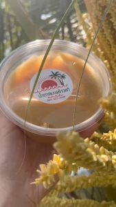 น้ำตาลมะพร้าวแท้ๆ  (เนื้อนิ่ม) 500 กรัม ส่งตรงจากสวนบ้านแพ้ว ชาวสวนขายเองจ้า