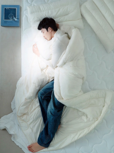 T-B-H | Bionic Feather Duvet Washable Antibacterial