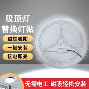 round LED Ceiling Light Fan Magnetic Core Replacement Slide Three Color Light Source Indoor Home Decor Lighting Future Light