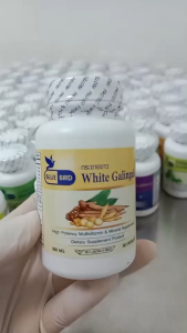 กระชายขาว White Galingale ตรา บลูเบิร์ด ขนาด 600 มิลลิกรัม 60 แคปซูล