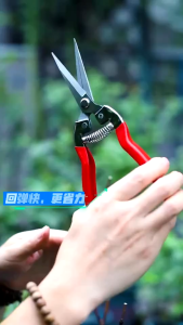 พร้อมส่ง กรรไกรตัดกิ่งดอกไม้ ปลายแหลม ตัดเก็บผลไม้จากต้น ทำจากสแตนเลส มีเก็บปลายทาง