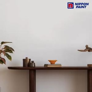 15L Nippon Paint Spot-Less Plus SHEEN - Interior Wall  - Color Option [ANY COLOR CODE]