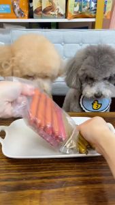 15g Dog Food Dog Sausage Pet Dog Treat Pet Cat  Sausage Dog Snack Pet Cat Food