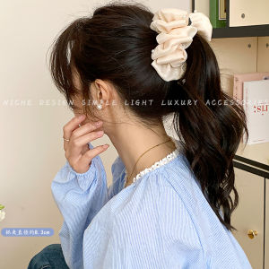 Cloud Bubble Grip Bun Hair Claw Female 2024 New Arrival Fancy Increased Skull Top Updo Shark Clip Headdress