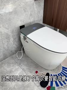 TEM | Auto-Flush Strong Flush Toilet for Old Apartment Renovation