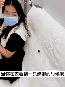 Buy 1 Take 2 Cockroach Killer Bait Cockroach Gel Cockroach Bait Death 1 Day Kill All Cockroaches 50 Years No Cockroaches Home Car Cockroach Extermination Products