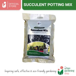 8-liter PREMIUM SUCCULENT POTTING MIX - Soilless Media for Cacti and Succulents