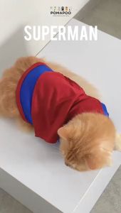 Superman - Kostum Kucing dan Kostum Anjing POMAPOO Premium Berkualitas