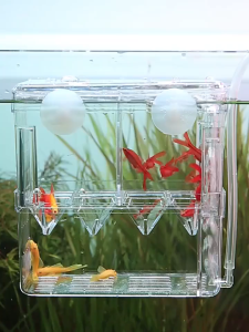 Aquarium Fish Breeding & Feeding Hatching Box - Transparent Acrylic Tank for Aquariums