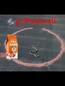 ผงกำมะถันไล่งู 1 ล้านเวลา กำมะถัน กระบวนการ 1 ล้านเวลา กำมะถัน ผงไล่งู กำมะถัน กำหนด 1 ล้านเวลา ราคา 1,200 เท่าไหร่