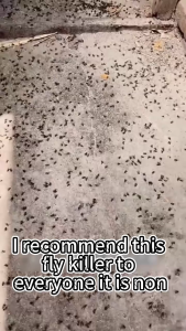 fly killer spray 1 bottle can be diluted into 50L cypermethrin insecticide fly insect killer