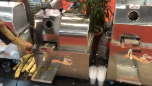 Kingkong Sugar Cane Press Commercial Stainless Steel Vertical Electric Juicer