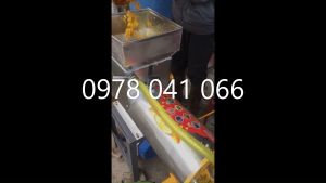 GIÁ RẺ CHO MỌI NHÀ - GIẢM GIÁ Máy xay vắt tinh bột nghệ siêu sạch máy nghiền bột sắn dây siêu trắng
