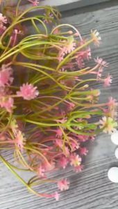 Kamper Kapur Barus Putih / Pewangi Ruangan Anti Lembab / Pil Pengharum Toilet Lemari Pakaian Rak Laci Sudut Ruangan / Bola Higienis Tahan Lama - HOMIA