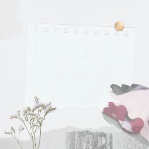 Kaos Kaki Muslimah Jempol Panjang KOSAKI PLAIN L Kaos Kaki Dobel Tumit Dobel Nylon