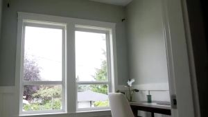 【Exclusive Limited Edition】 Matte Privacy Window Film Frosted with Heat Control Protection Window Tint Self Adhesive Glass Covering for Home