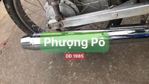 ⚡️FREESHIP⚡️ Pô CUP 1985 gắn 50 70 81 82 84 86 90 DD / CD Benly 50-90
