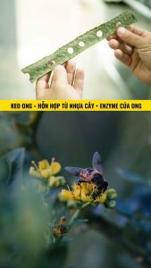 XỊT HỌNG KEO ONG XANH TRACYBEE - VỊ BẠC HÀ DÀNH CHO NGƯỜI TỪ 2 TUỔI