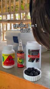 ชุดเลี้ยง 3 in 1 ขนาดจัมโบ้ ลูกกลอน ทองแดง เวย์ไก่