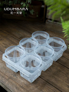 Transparent Plastic Flower Pot for Experimenting Orchid Planting Asters Bulbous Plants Reproduction And Seedling Cultivation