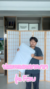 wellplus ปลอกหมอนยางพารา รุ่น forum สำหรับหมอน double slope cover case