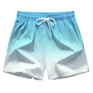 Summer Men Sports Shorts Fitness Basketball Beach Pants Mesh Breathable Bodybuilding Gym Training Shorts Mens Swim Trunks