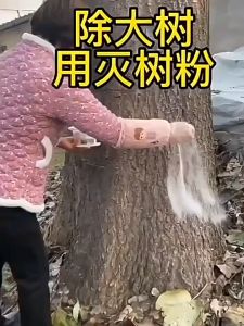 500g Powerful Grass Killer Chemical Glyphosate Herbicide: Do Not Harm the Soil